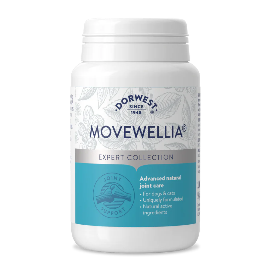 Front view of Dorwest MoveWellia tablets.