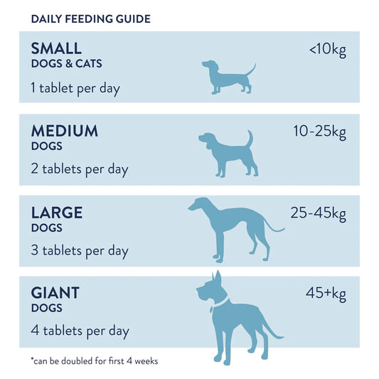 Daily feeding guide for dogs.
