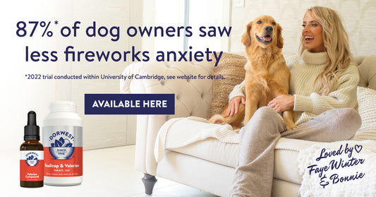 Infographic showing 87% of dog owners saw less fireworks anxiety with Dorwest Valerian Compound.