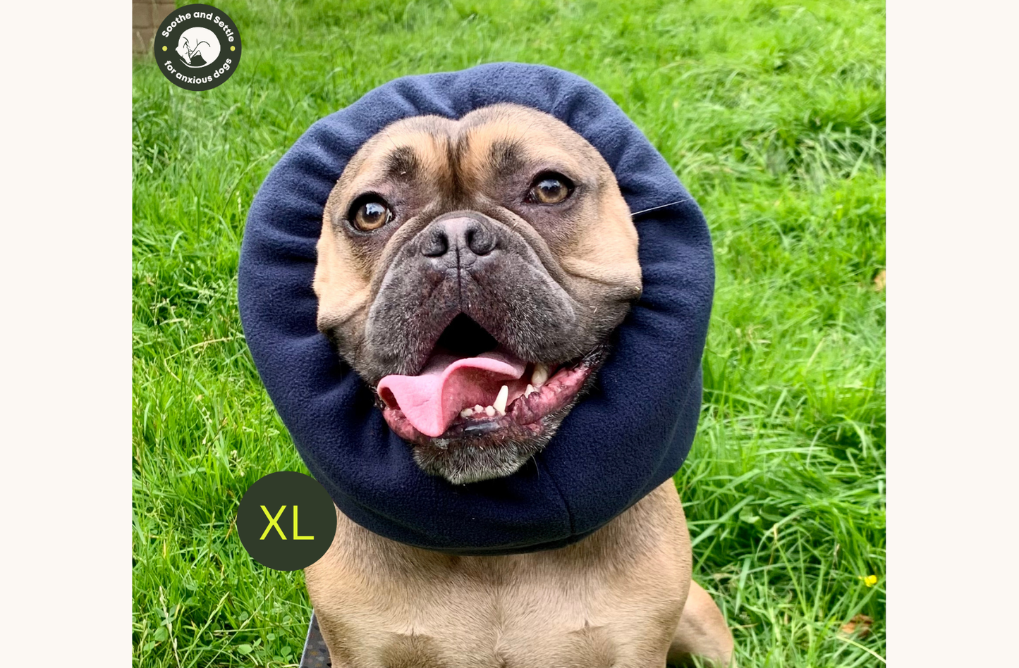 Noise cancelling dog snood.