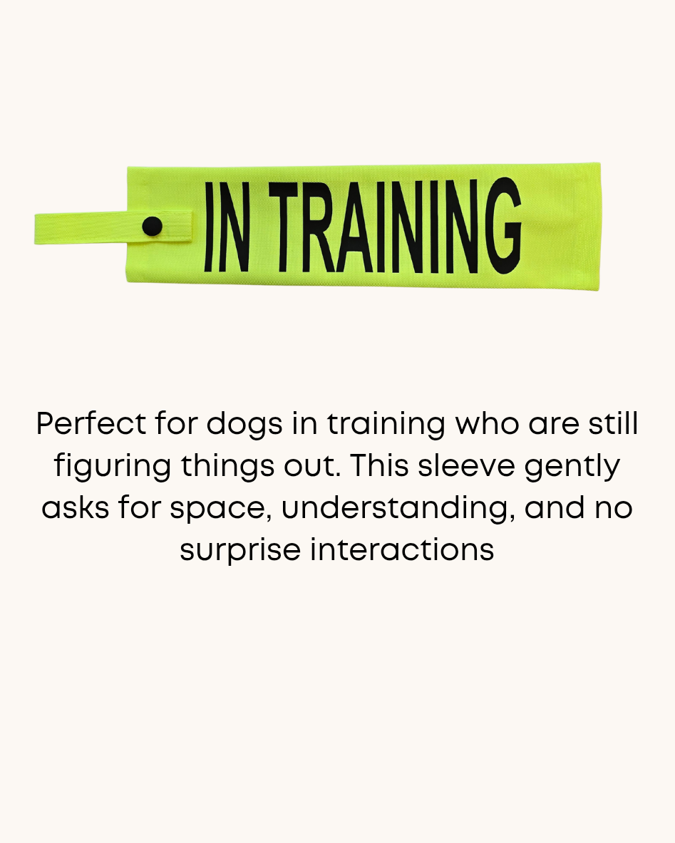 Neon yellow dog lead sleeve with an 'in training' label on a white background.