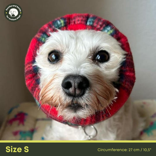 Dog wearing red tartan snood.