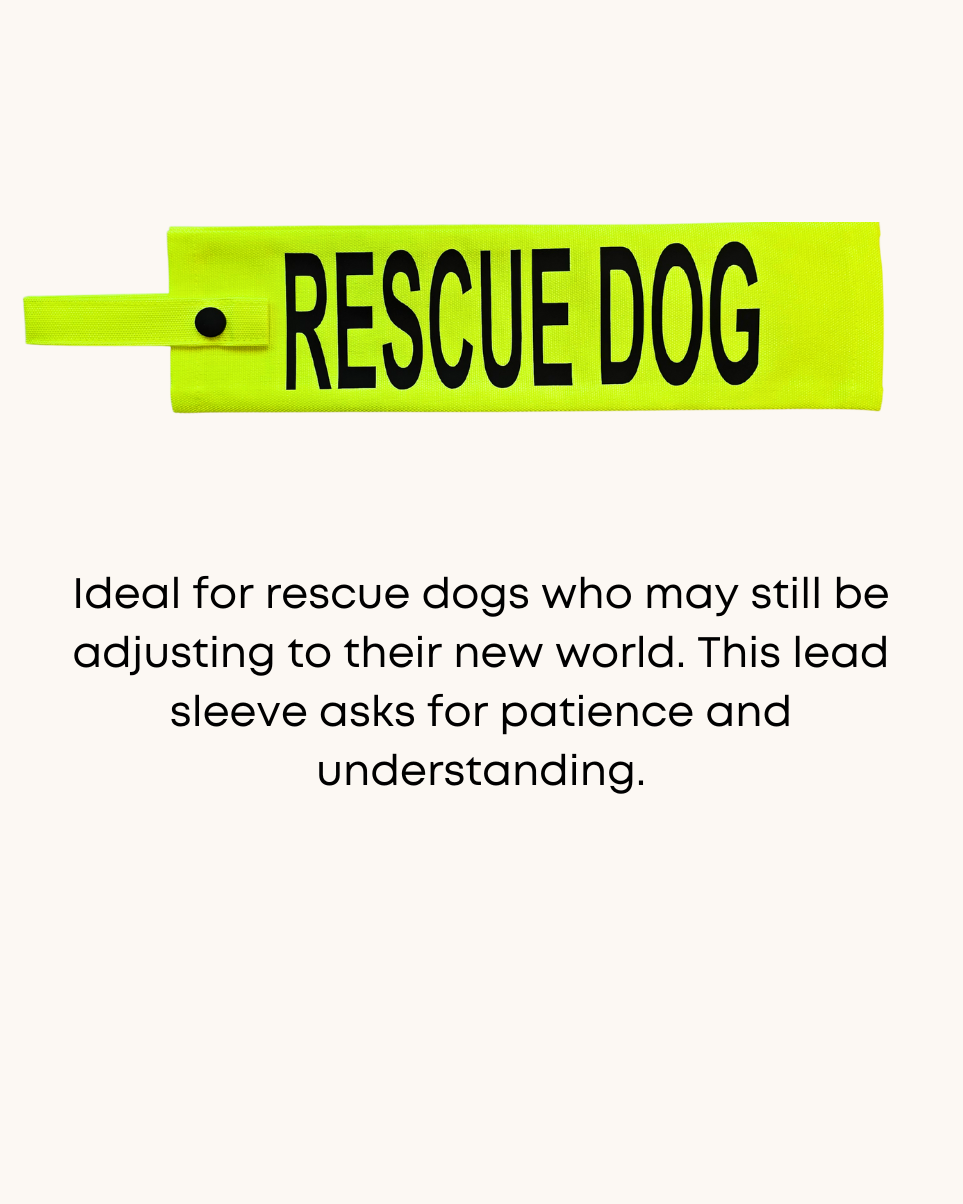 Neon yellow dog lead sleeve with a 'rescue dog' label.