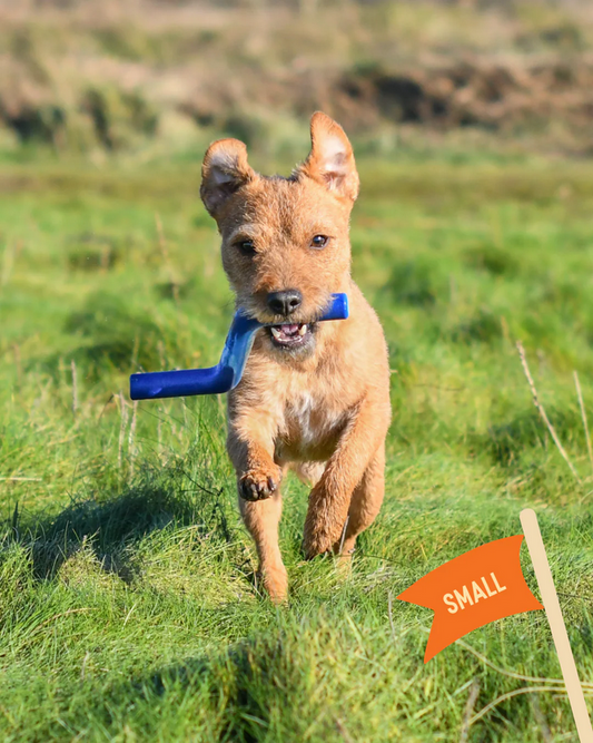 Twiggy Tags ZigZoom™