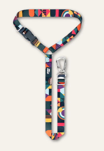 Twiggy Tags Adventure Dog Safety Seatbelt 2.0