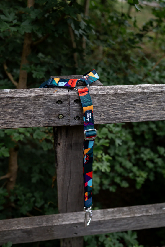 Twiggy Tags Adventure Dog Safety Seatbelt 2.0