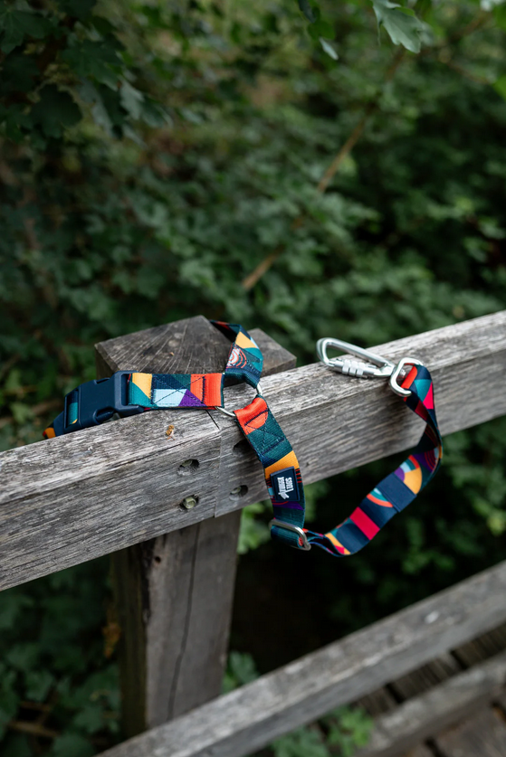 Twiggy Tags Adventure Dog Safety Seatbelt 2.0