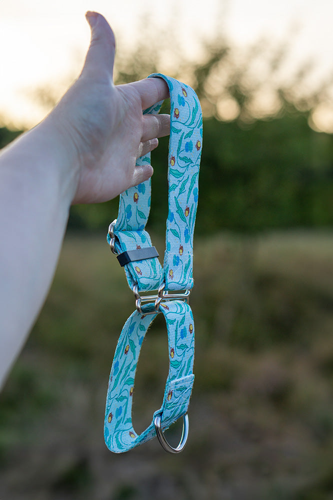 Person holding bee print dog collar.