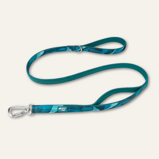 Twiggy Tags Adventure Close Control Lead 2.0 - Lagoon