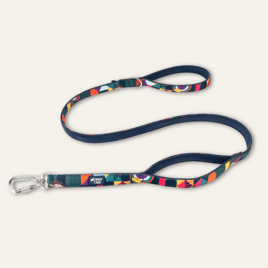 Twiggy Tags Adventure Close Control Lead 2.0 - Aurora
