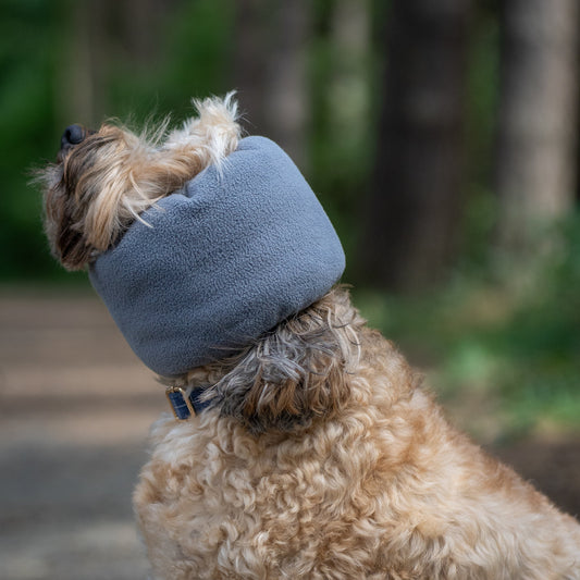 A fluffy golden dog wearing a grey fleece ear warmer hat outdoors in a forest setting.