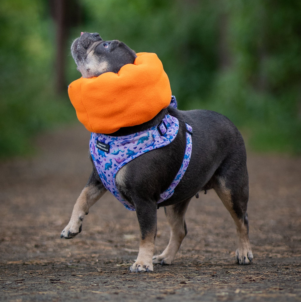 Neon Orange Hush Muff