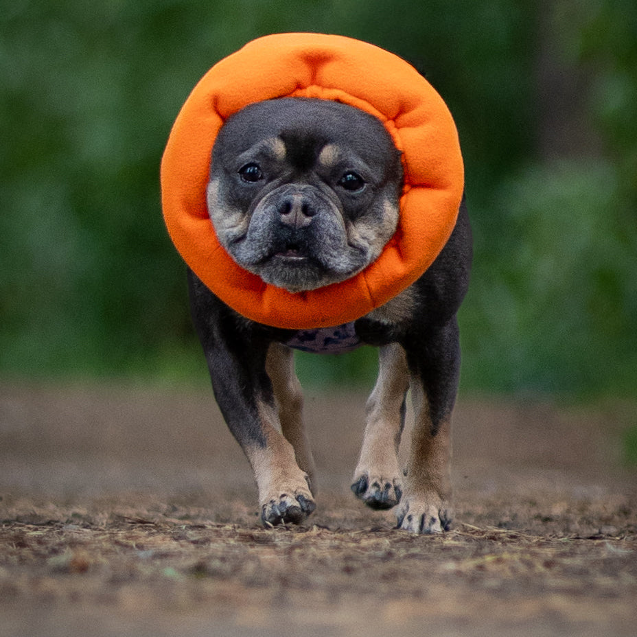 Neon Orange Hush Muff