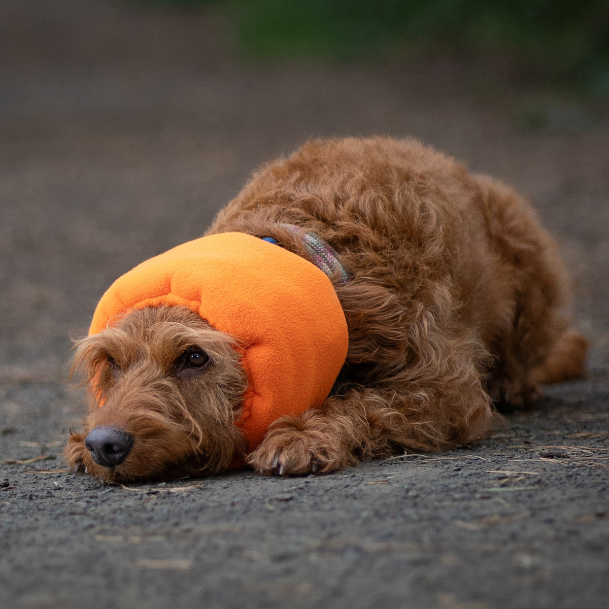 Neon Orange Hush Muff