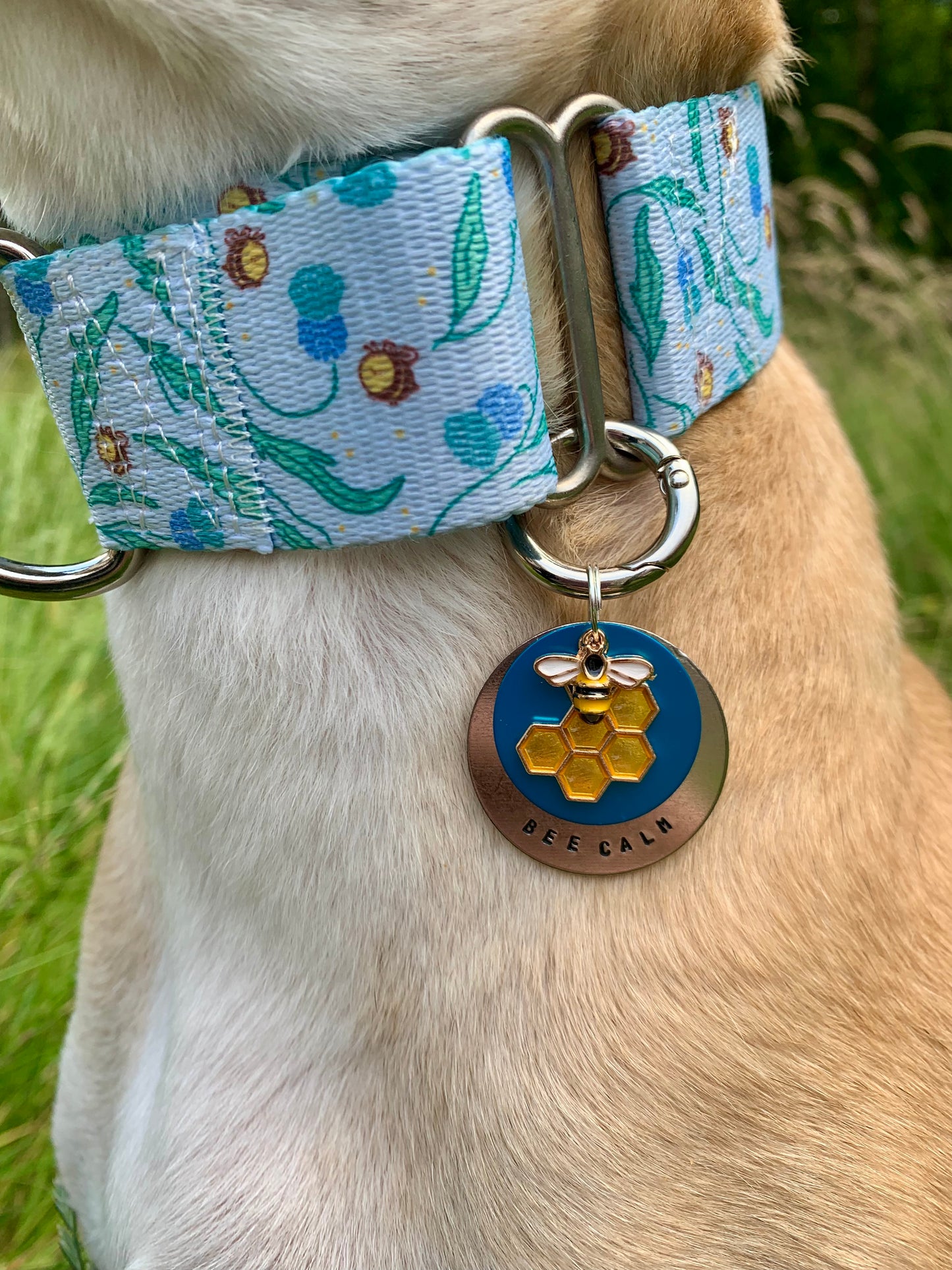 Bee martingale dog collar close up.