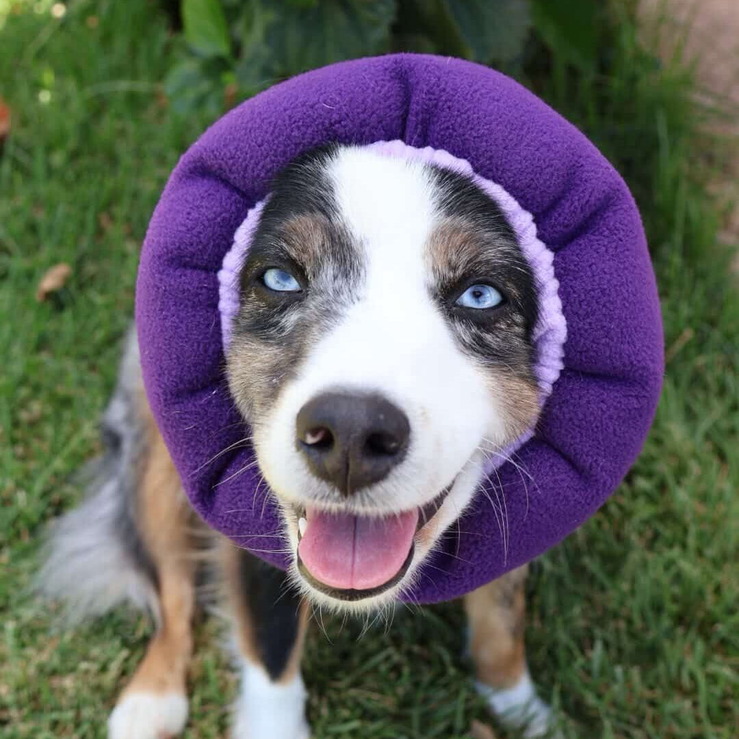 Lilac/Purple Hush Muff