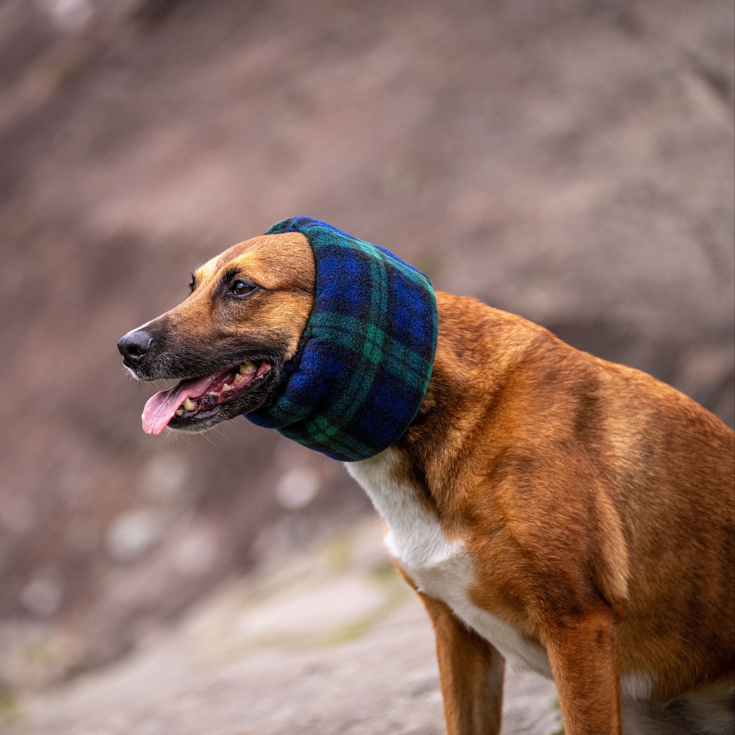 Black and Green Tartan Hush Muff
