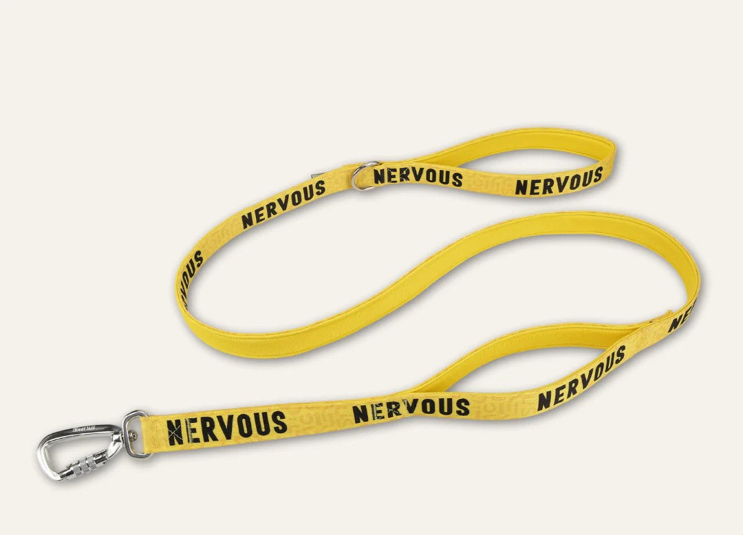 Yellow nervous dog lead