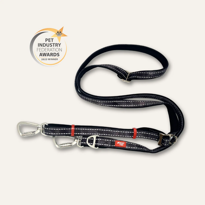 Onyx Twiggy Tags multi-way dog lead, which has a black dashed line design, pictured on a white background, featuring the Pet Industry Federation Awards 2023 winner logo.