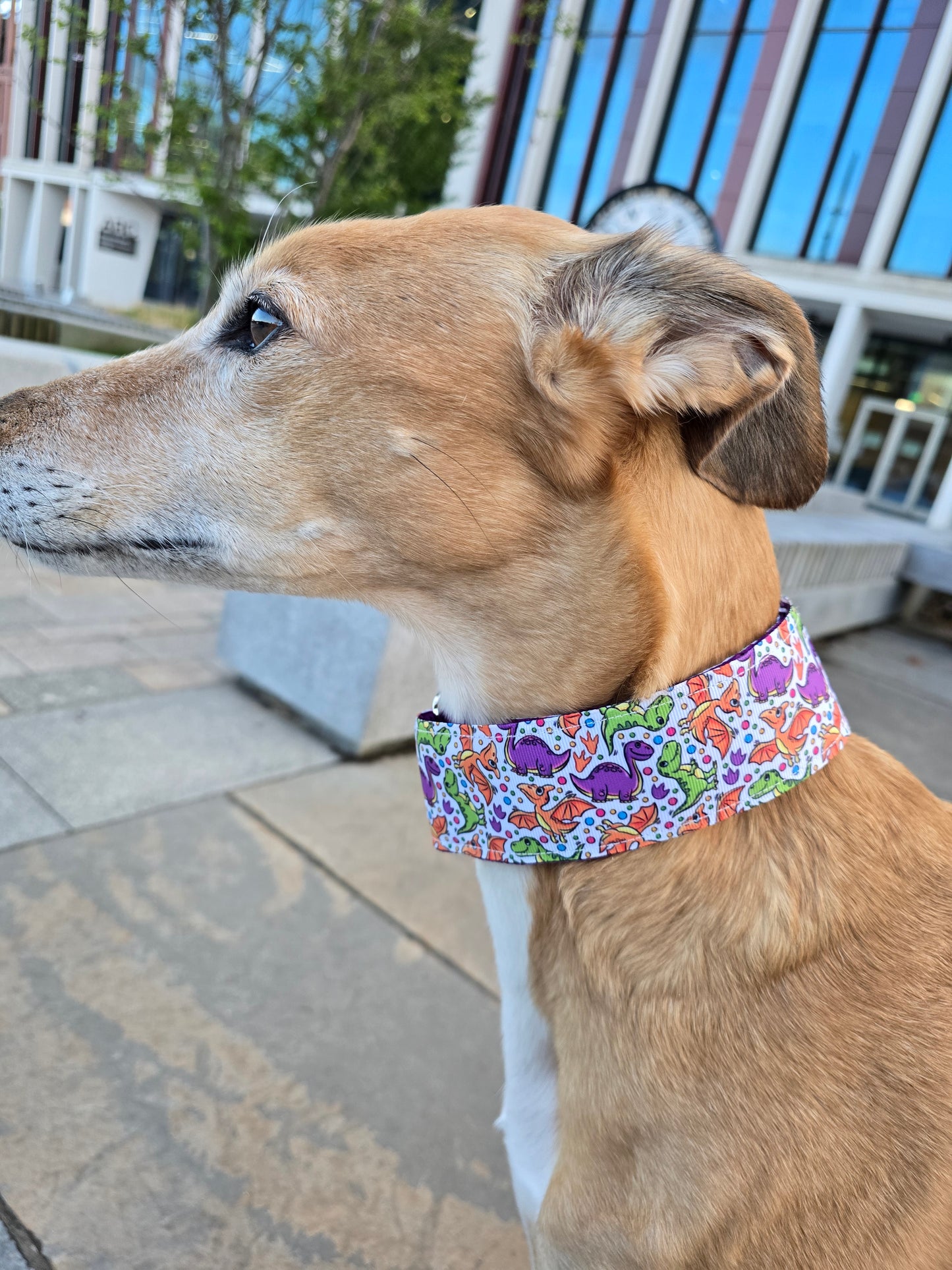 Side view of brown dog wearing dinosaur print dog collar.