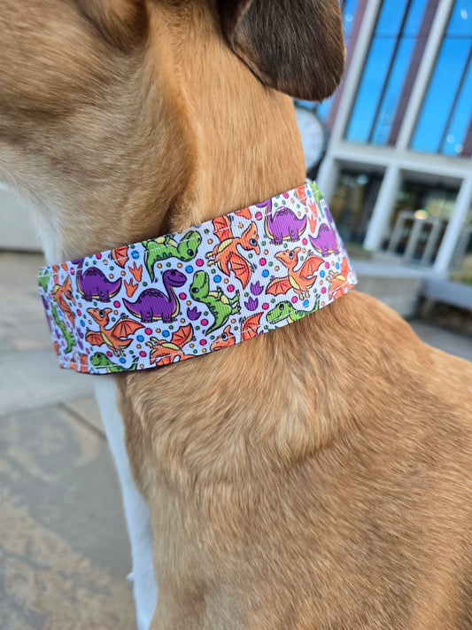 Close up of dinosaur martingale dog collar. 