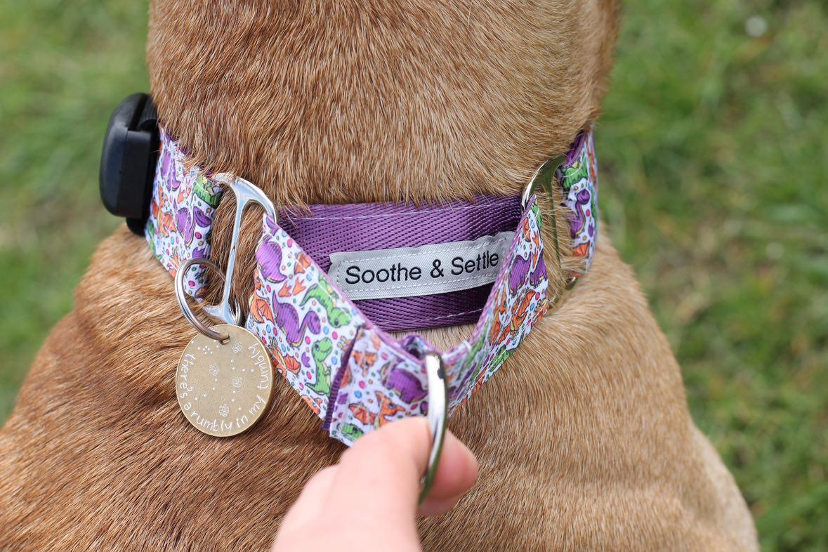 Close up view of dinosaur print martingale dog collar with the sooth and settle logo.