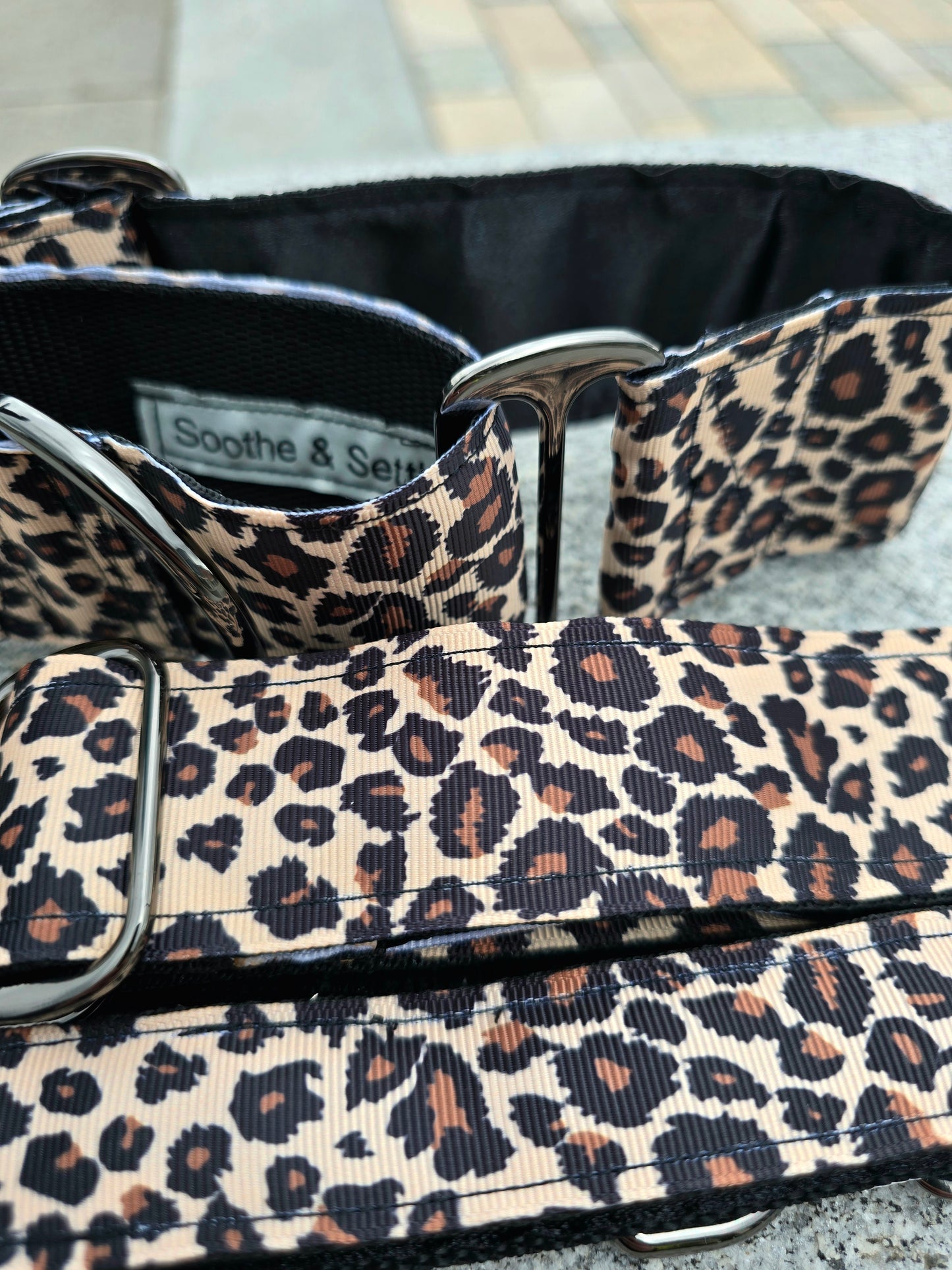 Close up of brown leopard martingale dog collar.