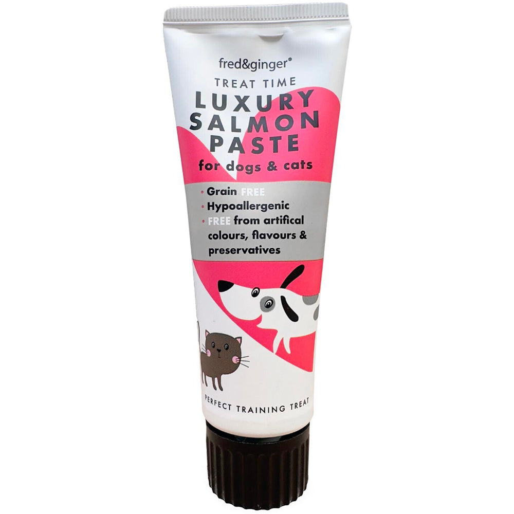 Tube of luxury salmon paste for dogs and cats on a white background