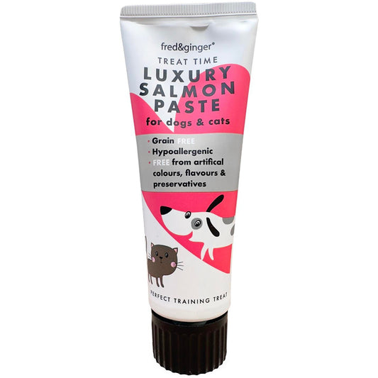 Tube of luxury salmon paste for dogs and cats on a white background