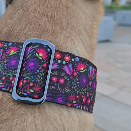 Close up of flower themed martingale dog collar.