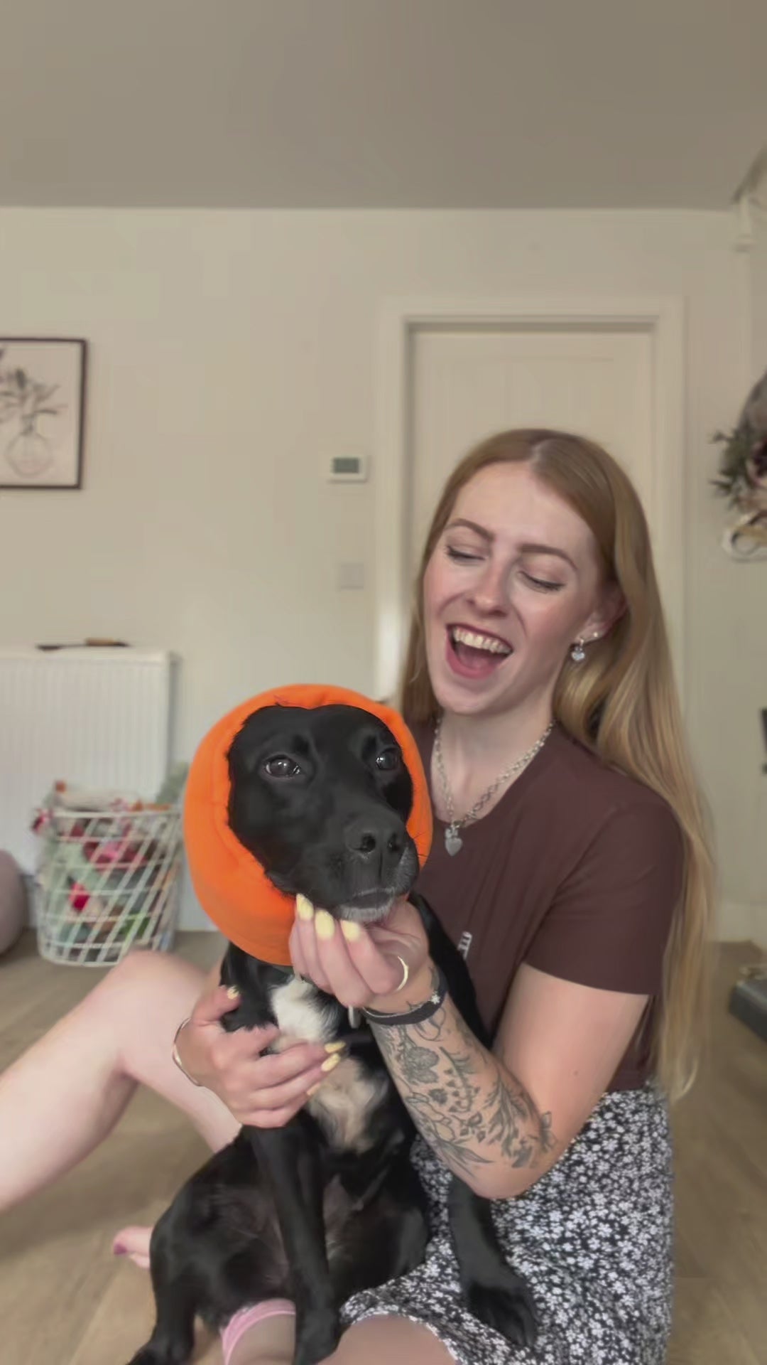 Video laden: Video of a female showing you how to get your dog comfortable with the hush muff